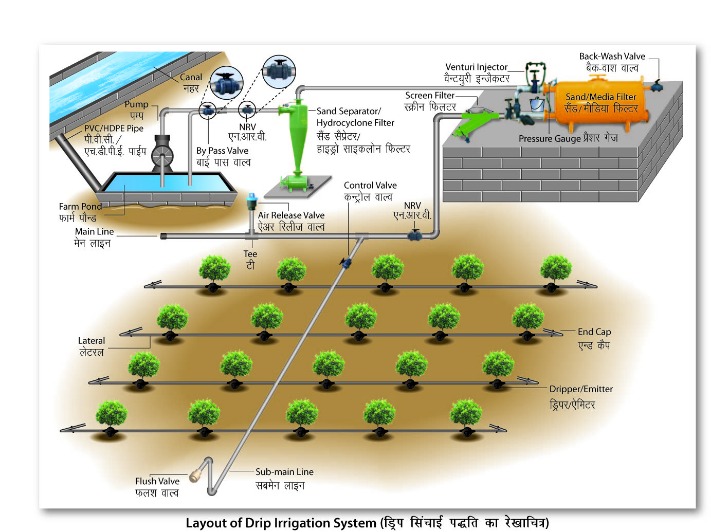 How To Have An Efficient Irrigation System For Spring Summer Austin Sprinkler & Irrigation Services