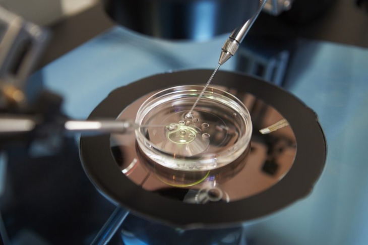 IVF In Vitro Fertilization: Procedure & How It Works