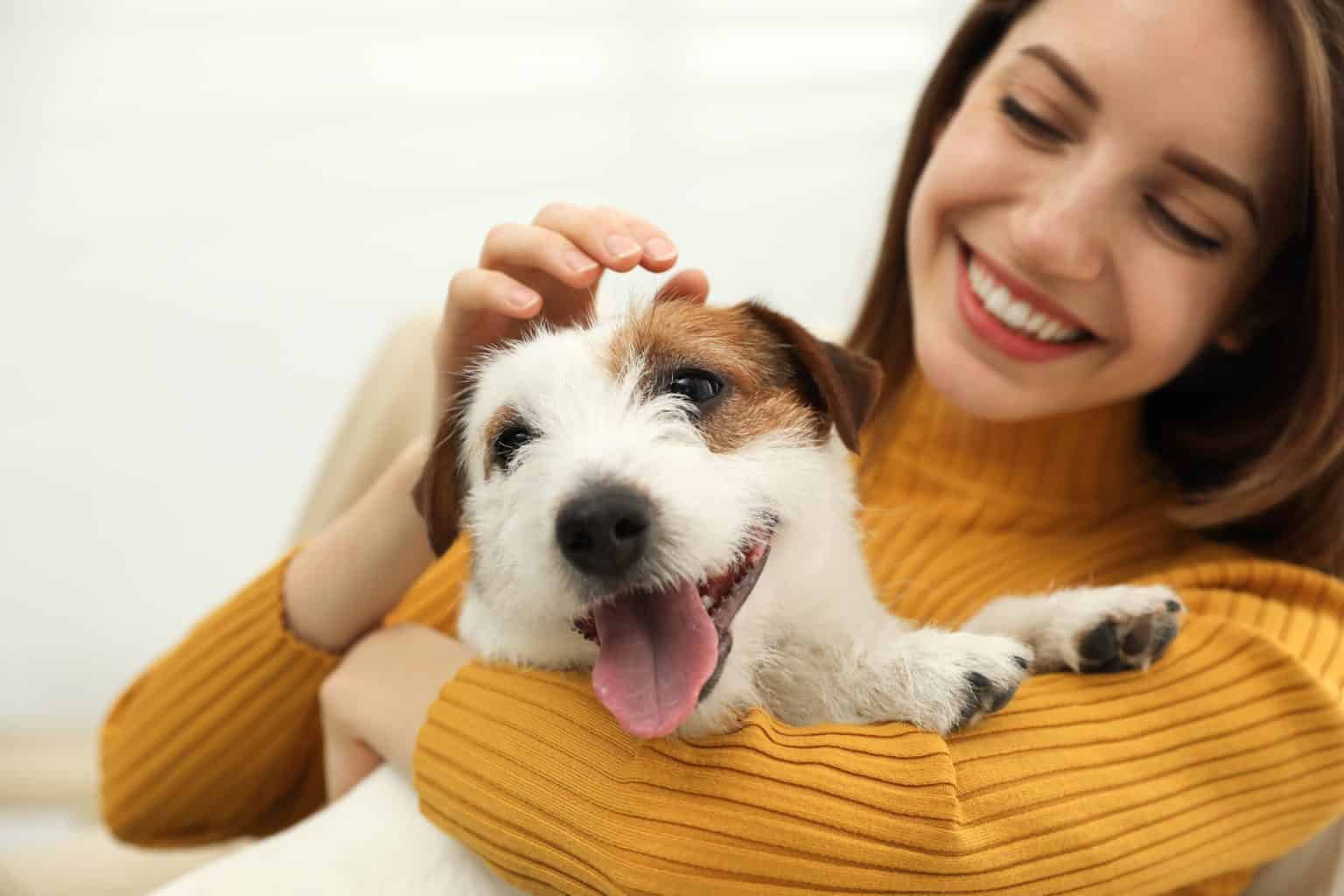 How to tell if your dog is happy